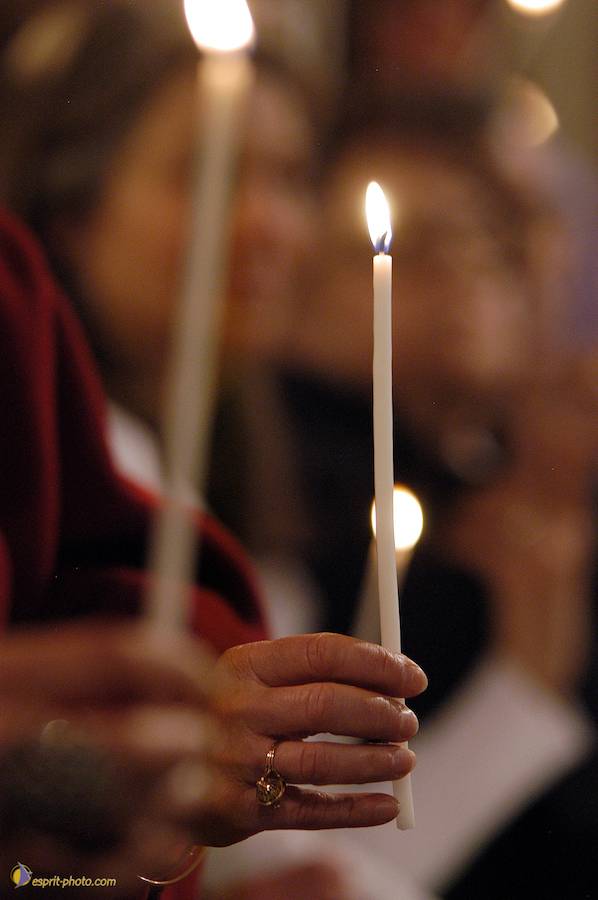 Nom de l'image : D1123917-01_(c)Norbert-JUNG — Description :